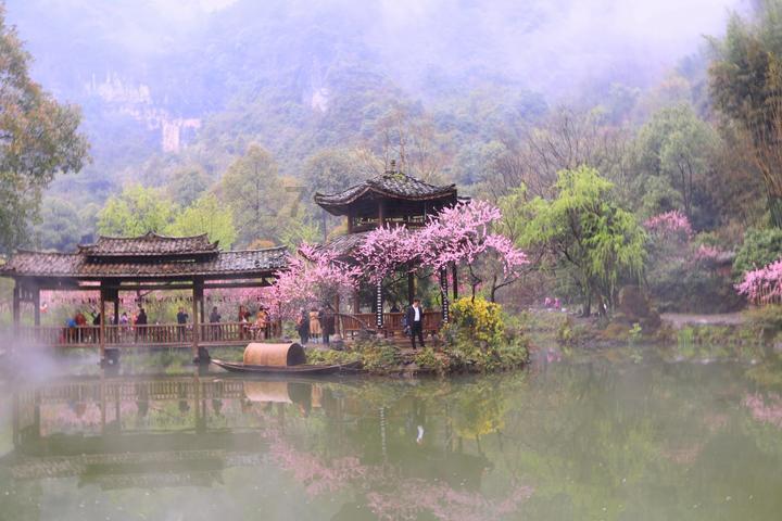 肌张力低的原因有哪些